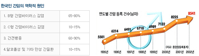 한국인 간암의 역학적 원인 / 1. B형 간염바이러스 감염 68~80% / 2. C형 간염바이러스 감염 10~15% / 3. 간경변증 60~90% / 4. 알코올성 및 기타 만성 간질환 10~15%